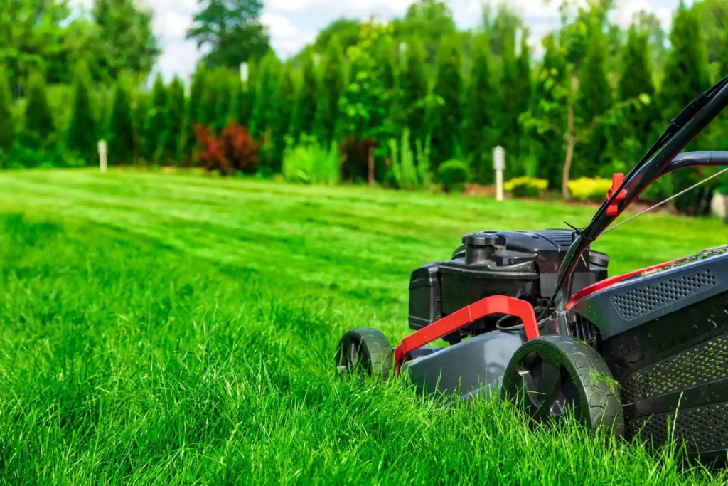 Lawn Services Mississauga: Professional Seasonal Care and Maintenance Lawn Services Mississauga