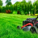 Lawn Services Mississauga